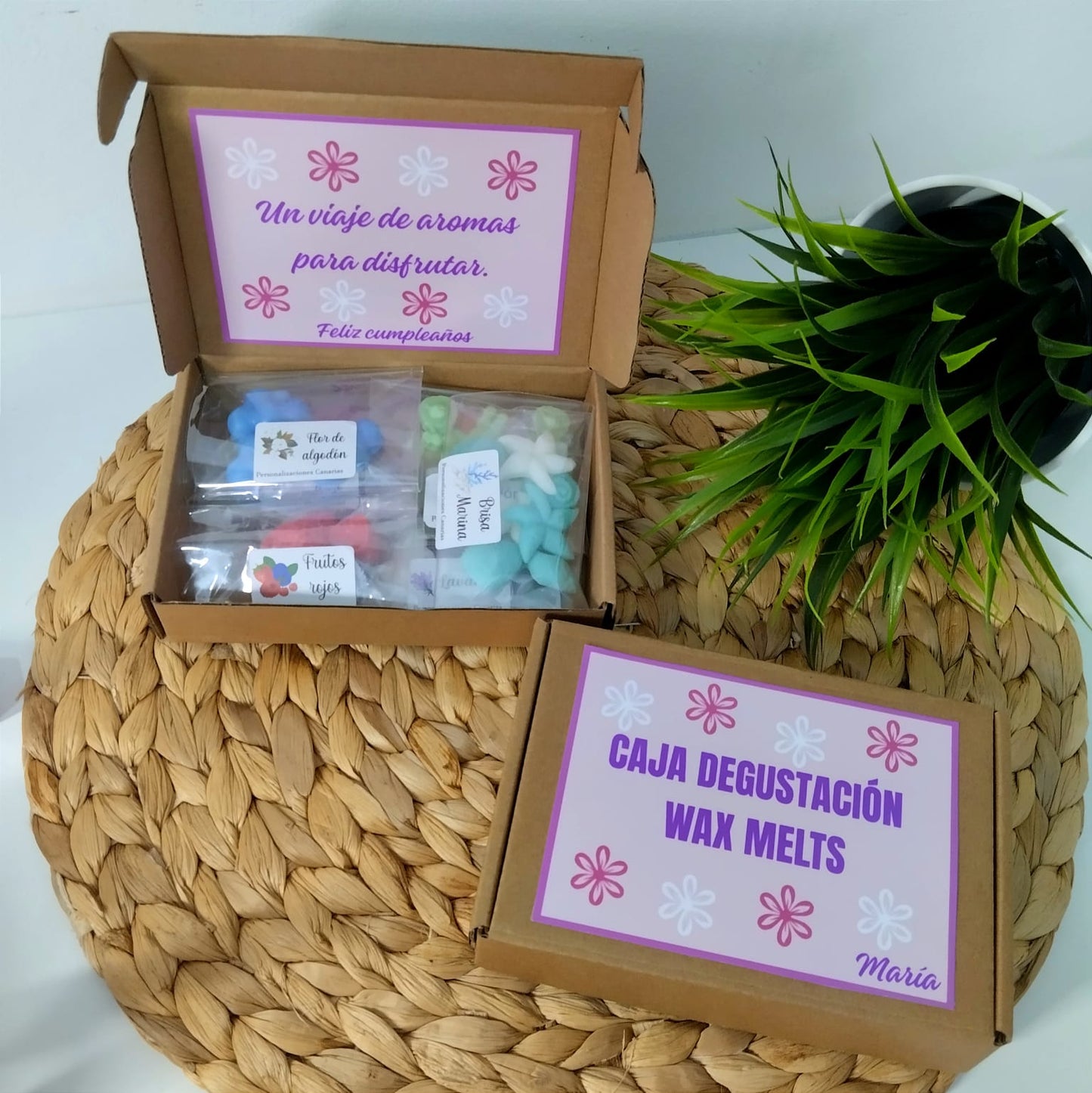 Caja degustación wax melts personalizada