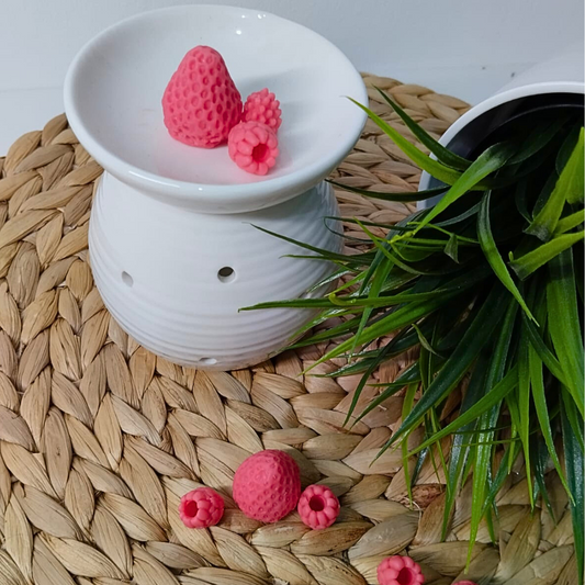 Wax melts Frutos rojos