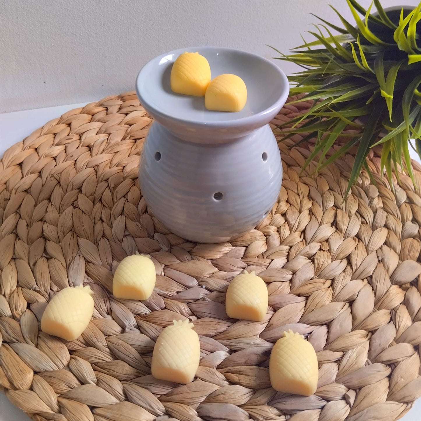 Wax melts Piña