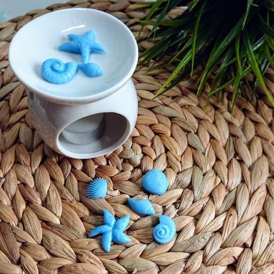 Wax melts Ropa limpia