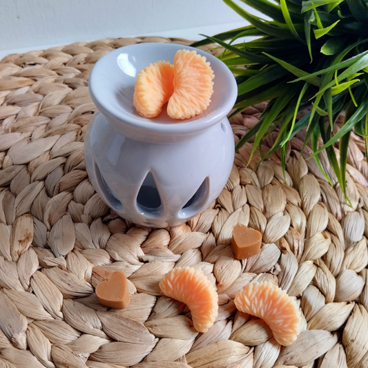 Wax melts Canela/Naranja