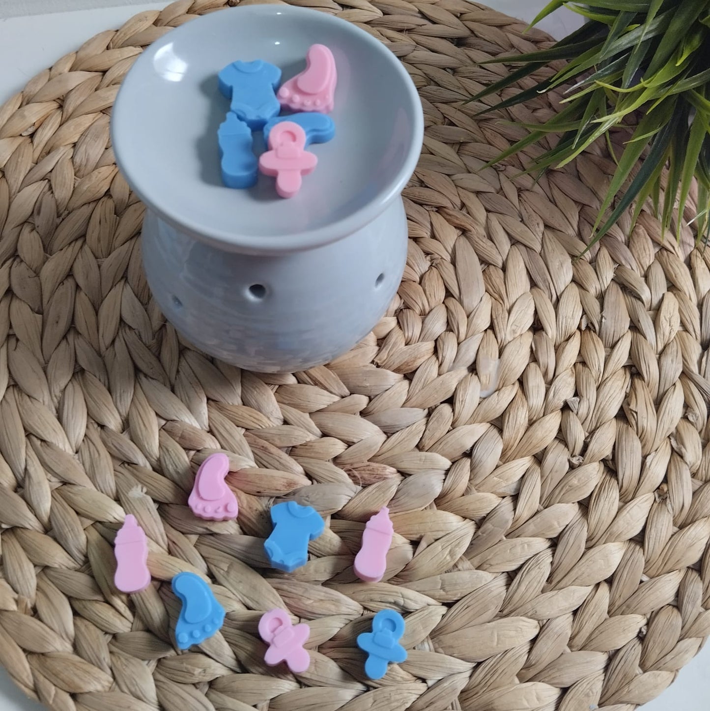 Wax melts Colonia de bebé