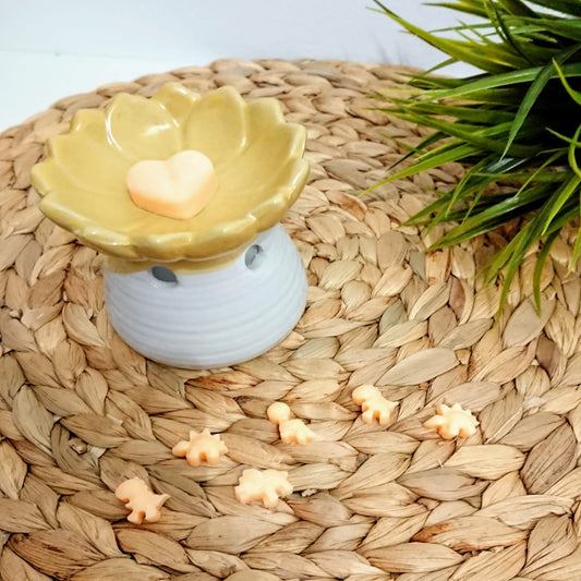 Wax melts Melocotón