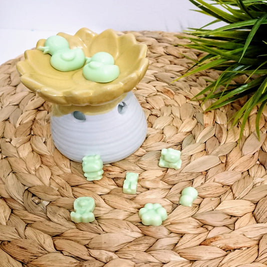 Wax melts Melón dulce
