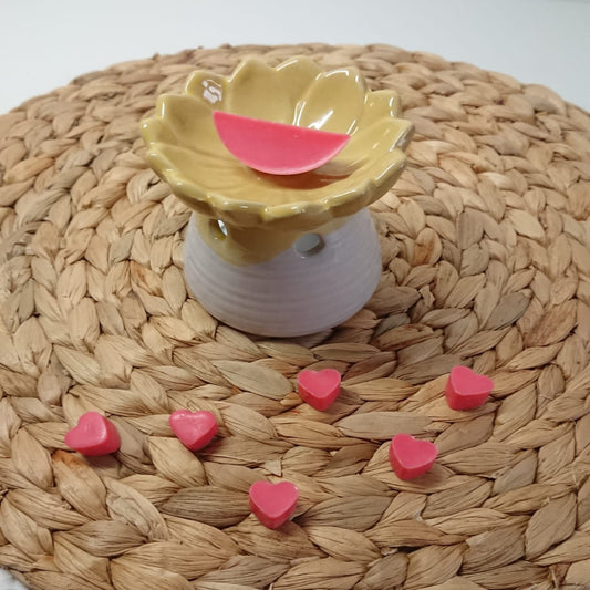 Wax melts Sandía